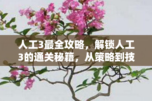 人工3最全攻略，解锁人工3的通关秘籍，从策略到技巧的全方位攻略