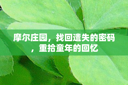 摩尔庄园，找回遗失的密码，重拾童年的回忆