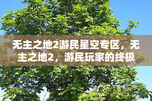 无主之地2游民星空专区，无主之地2，游民玩家的终极指南