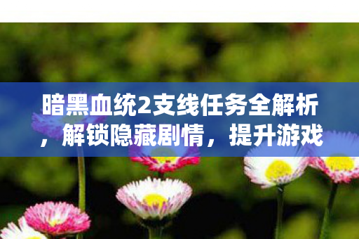 暗黑血统2支线任务全解析，解锁隐藏剧情，提升游戏乐趣