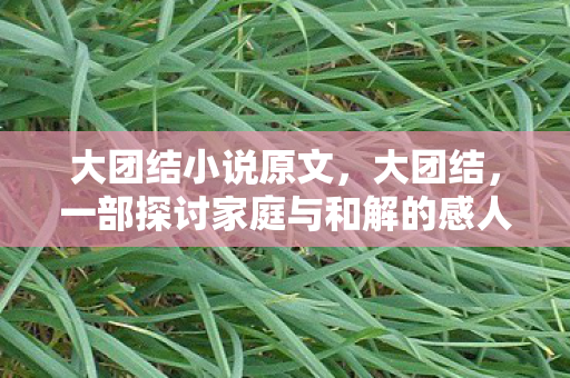 大团结小说原文，大团结，一部探讨家庭与和解的感人小说