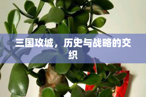 三国攻城，历史与战略的交织