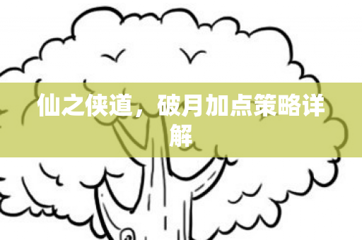 仙之侠道，破月加点策略详解