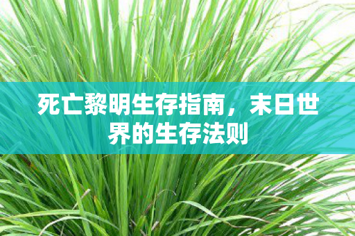 死亡黎明生存指南，末日世界的生存法则