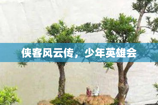 侠客风云传，少年英雄会