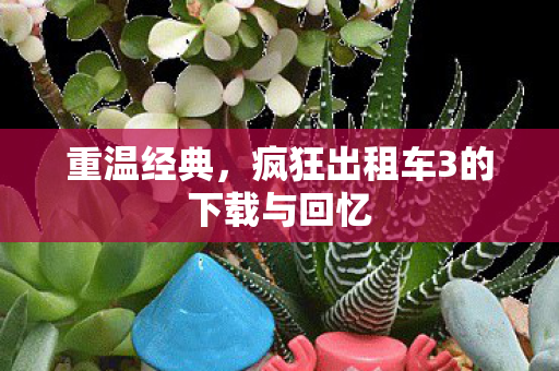 重温经典，疯狂出租车3的下载与回忆