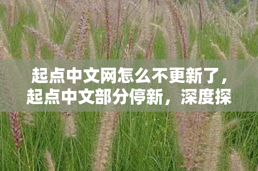 起点中文网怎么不更新了，起点中文部分停新，深度探究背后的原因与影响