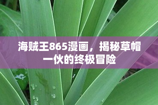 海贼王865漫画，揭秘草帽一伙的终极冒险