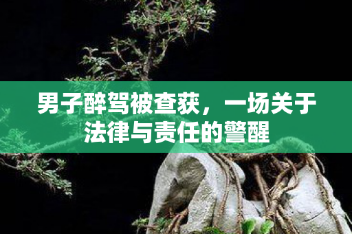 男子醉驾被查获，一场关于法律与责任的警醒