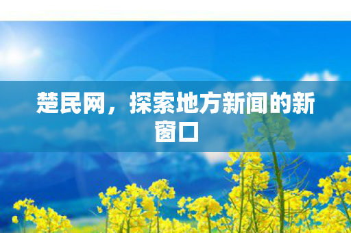 楚民网，探索地方新闻的新窗口