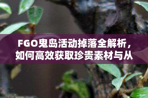 FGO鬼岛活动掉落全解析，如何高效获取珍贵素材与从者？