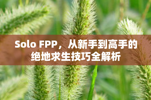 从新手到高手的绝地求生技巧全解析图片