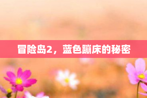 冒险岛2，蓝色蹦床的秘密