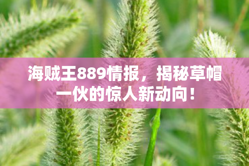 海贼王889情报，揭秘草帽一伙的惊人新动向！