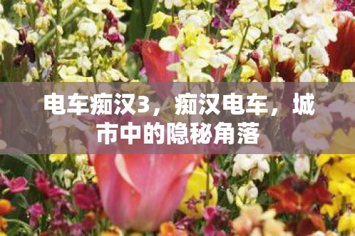 电车痴汉3，痴汉电车，城市中的隐秘角落