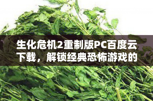 生化危机2重制版PC百度云下载，解锁经典恐怖游戏的全新体验