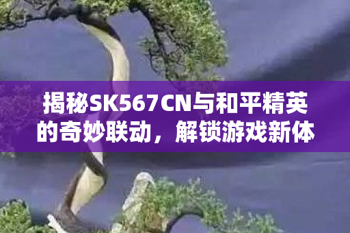 揭秘SK567CN与和平精英的奇妙联动，解锁游戏新体验