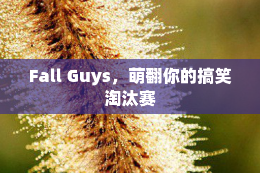 Fall Guys，萌翻你的搞笑淘汰赛