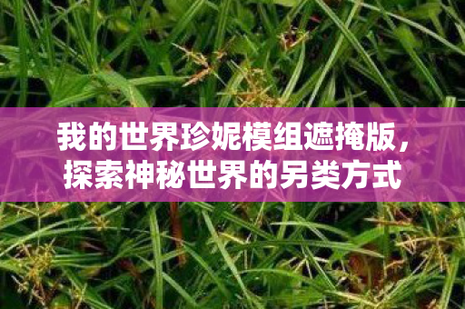 我的世界珍妮模组遮掩版，探索神秘世界的另类方式