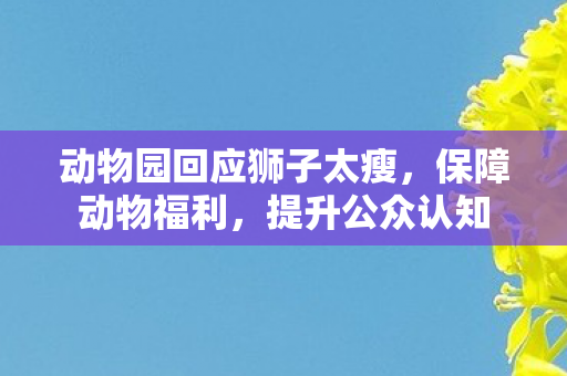 动物园回应狮子太瘦，保障动物福利，提升公众认知