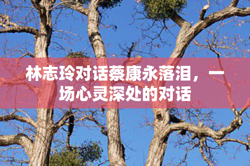 林志玲对话蔡康永落泪，一场心灵深处的对话