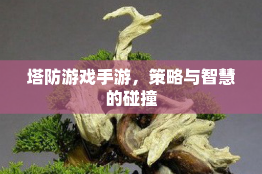 塔防游戏手游，策略与智慧的碰撞