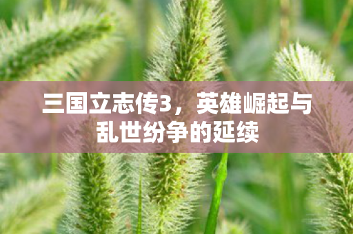 三国立志传3，英雄崛起与乱世纷争的延续