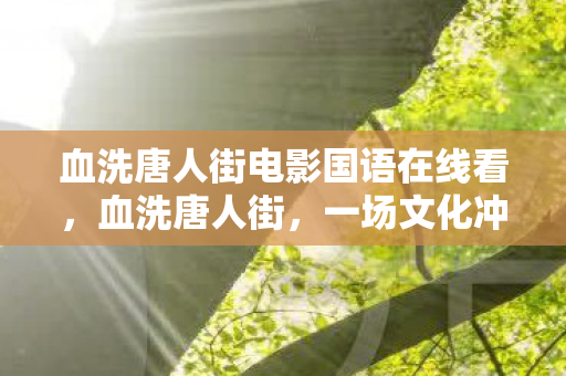 血洗唐人街电影国语在线看图片