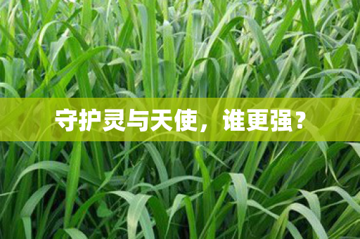 守护灵与天使，谁更强？