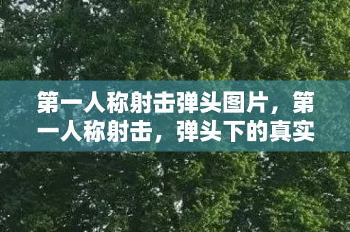 第一人称射击弹头图片，第一人称射击，弹头下的真实战斗体验