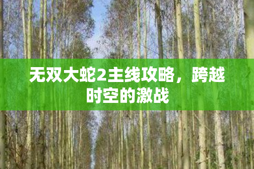 无双大蛇2主线攻略，跨越时空的激战