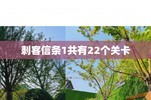 刺客信条1共有22个关卡