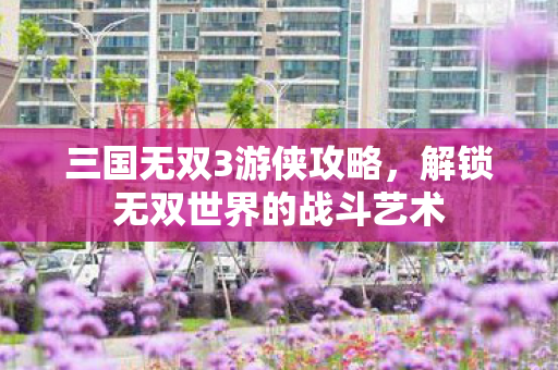 三国无双3游侠攻略，解锁无双世界的战斗艺术