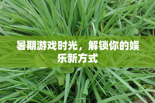 暑期游戏时光，解锁你的娱乐新方式