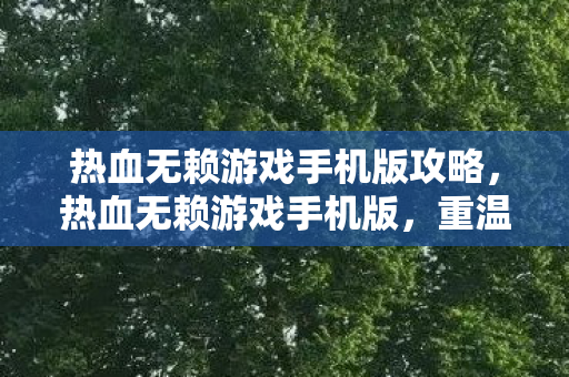 热血无赖游戏手机版攻略，热血无赖游戏手机版，重温经典，随时随地享受游戏乐趣