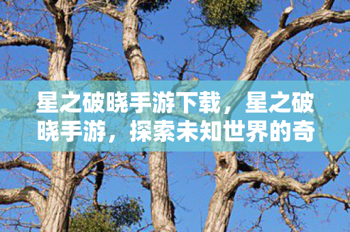 星之破晓手游下载，星之破晓手游，探索未知世界的奇幻之旅