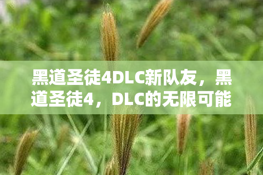 黑道圣徒4DLC新队友，黑道圣徒4，DLC的无限可能
