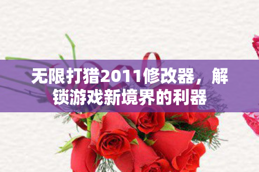 无限打猎2011修改器，解锁游戏新境界的利器