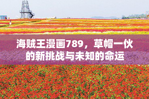 草帽一伙的新挑战与未知的命运图片
