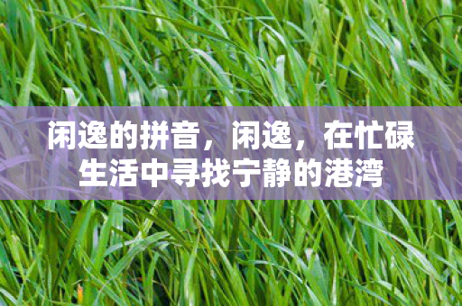 闲逸的拼音,闲逸,在忙碌生活中寻找宁静的港湾 闲逸的拼音,闲逸,在忙碌生活中寻找宁静的港湾