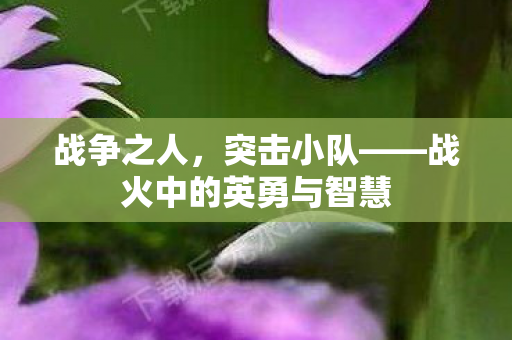 战火中的英勇与智慧图片