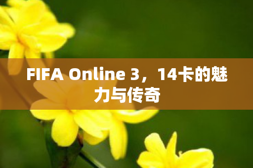 FIFA Online 3图片