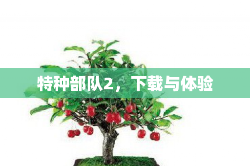 特种部队2,下载与体验 特种部队2,下载与体验