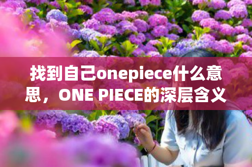 找到自己onepiece什么意思，ONE PIECE的深层含义，探索梦想与自由的航海之旅