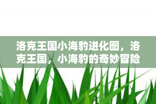 洛克王国小海豹进化图，洛克王国，小海豹的奇妙冒险