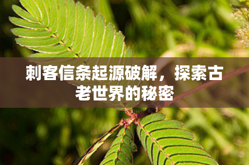 探索古老世界的秘密图片