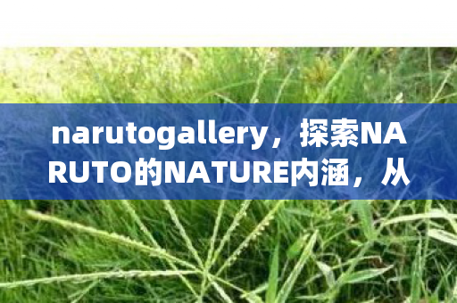 探索NARUTO的NATURE内涵图片