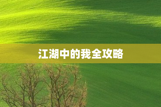 江湖中的我全攻略