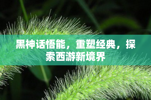 探索西游新境界图片