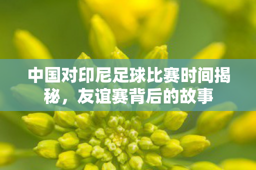中国对印尼足球比赛时间揭秘，友谊赛背后的故事